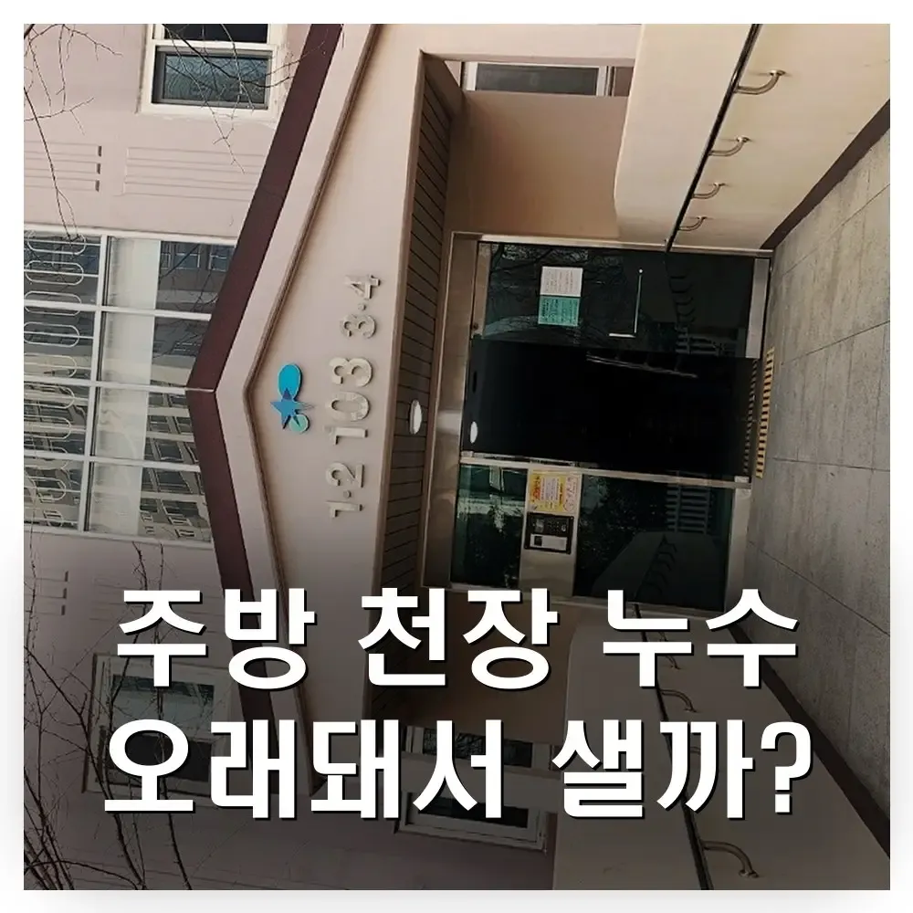 구축 아파트 주방 천장 누수｜오래된 집이라 더 잘 샐까 실제 원인은 작은 온수배관 크랙
