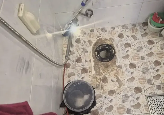 변기 막힘