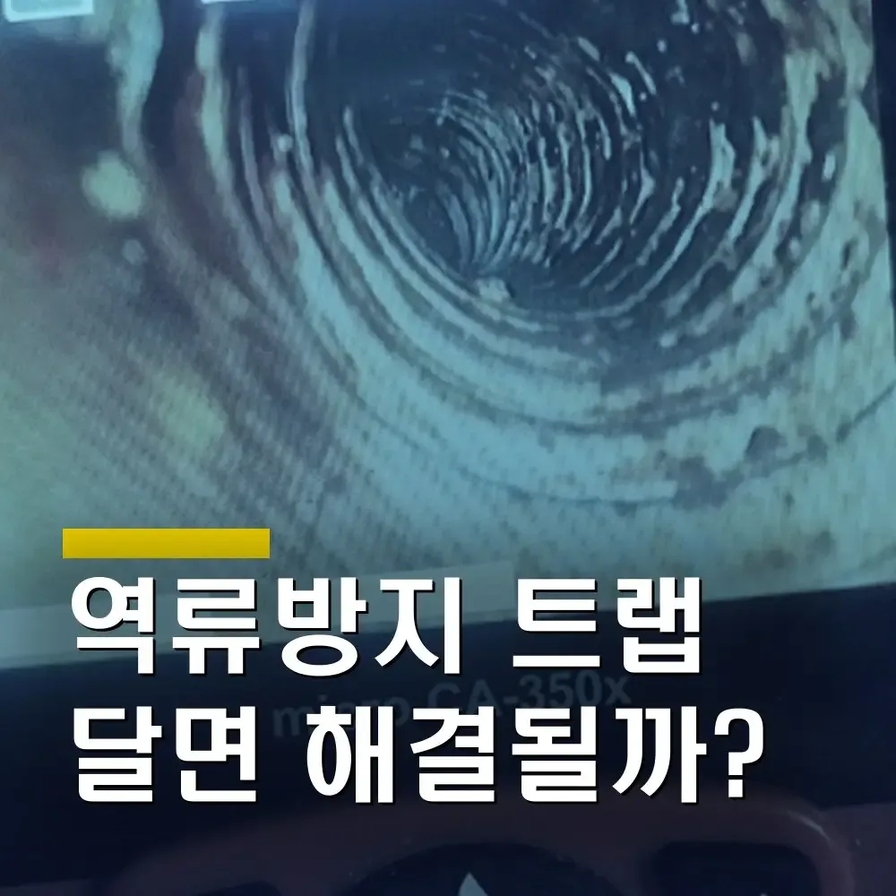 싱크대 아래 역류, 역류방지 트랩을 달면 될까 심한 기름때가 만든 진짜 원인