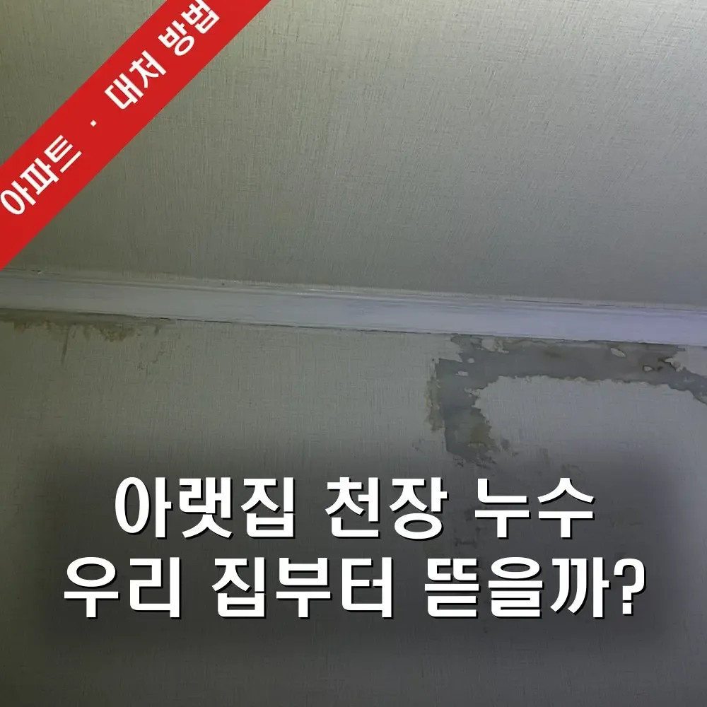 아파트 밑에집 누수, 천장에서 물 샌다고 연락 오면 우리 집부터 뜯어야 할까?