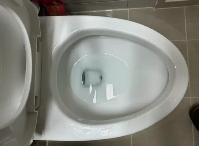 변기 막힘 해결