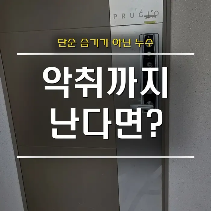 천장 누수 곰팡이 냄새 제거, 악취까지 난다면 단순 습기가 아닙니다