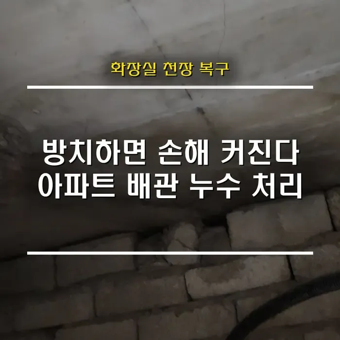 화장실 천장 누수, 방치하면 억소리 납니다… 아파트 배관 누수 보험처리 필수인 이유