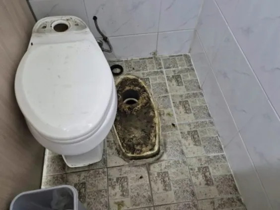 안성시 변기 역류, 석션으로 안 풀릴 때 배관 안쪽을 보는 이유