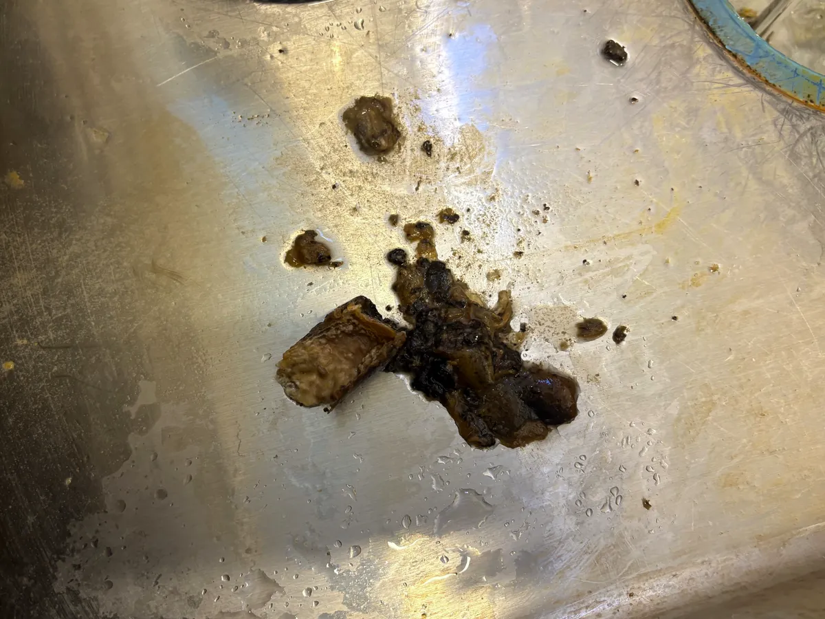 싱크대 물 안 내려감, 주름호스만 청소하면 될까? 배관 안쪽까지 확인하는 기준