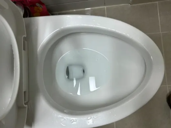 성남시 분당구 변기 역류, 휴지·물티슈 막힘은 어떻게 확인할까